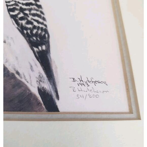 B Hutcheson RED BELLIED WOODPECKER Bird Art Signed Numbered Framed 11.5" x 9.5" - Picture 3 of 6